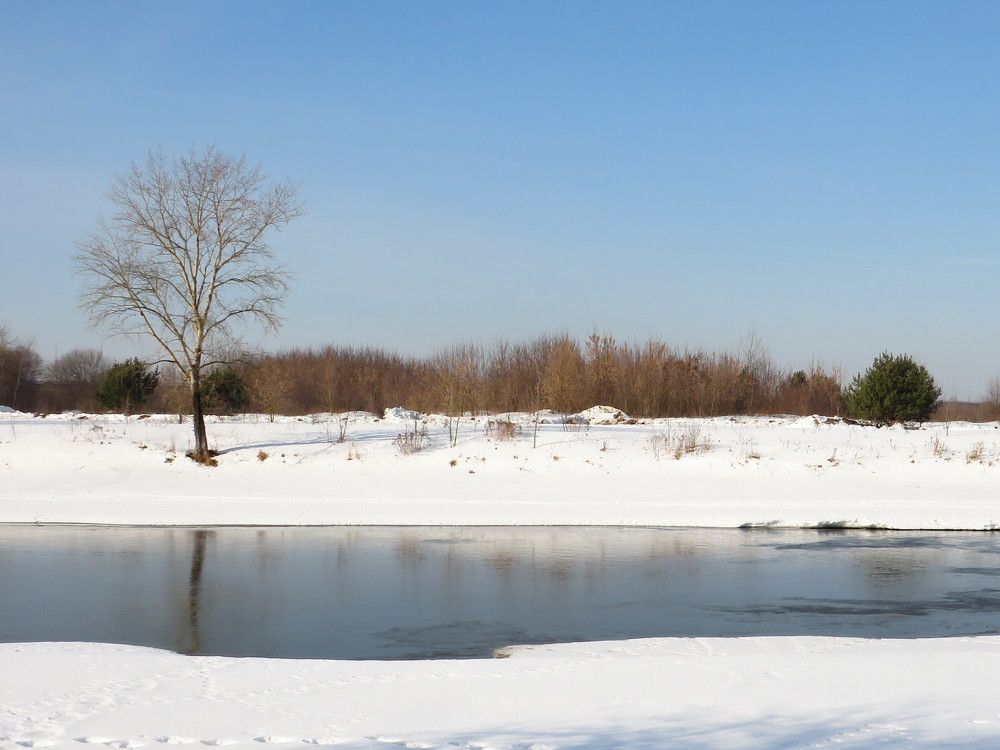 Весна на городской речке