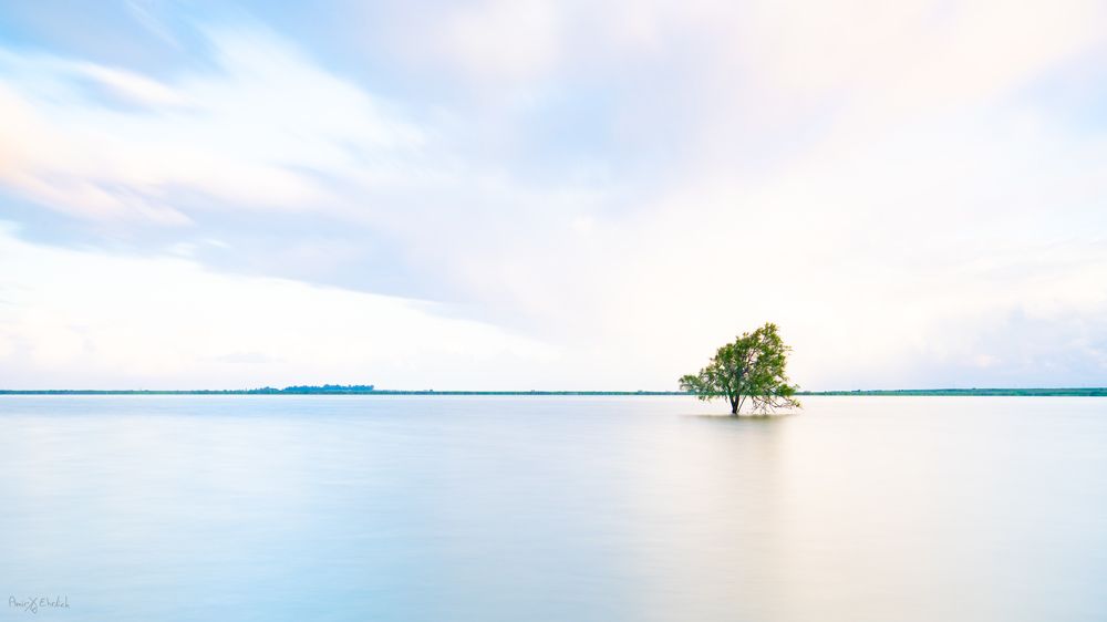 Photograph by Amir Ehrlich