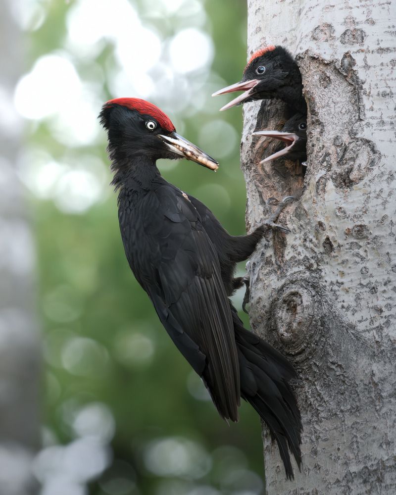 Photograph by Поляков Михаил