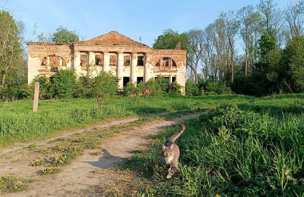 Усадьба Куммолово