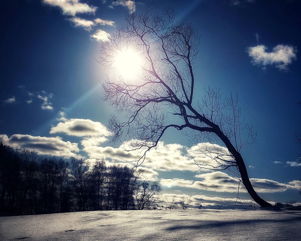 Photograph by Сергей Малашкин