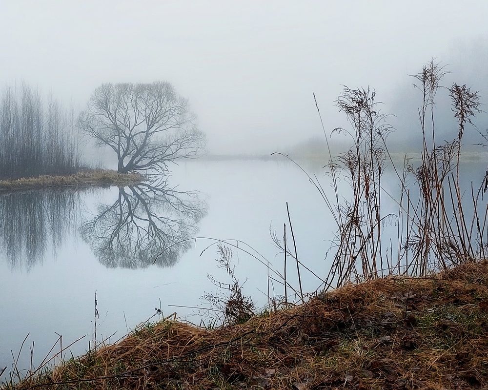 Photograph by Сергей Малашкин