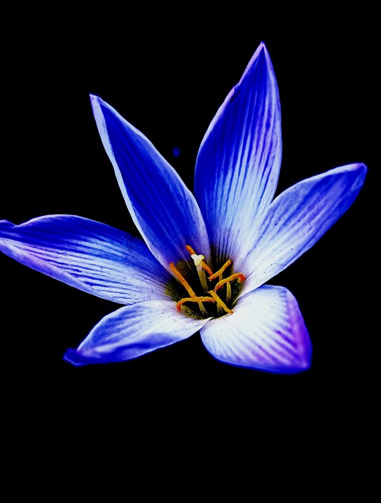 Photograph by Nidhi Singh