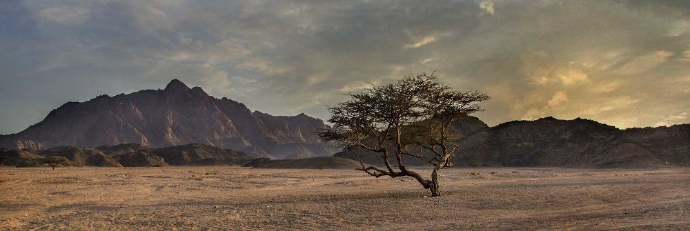 Photograph by Karen Khachaturyants