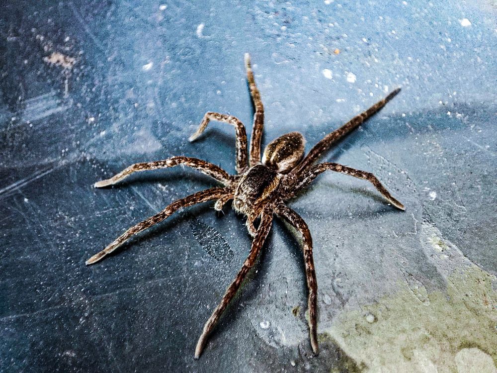 Photograph by Nikita Ostarkov