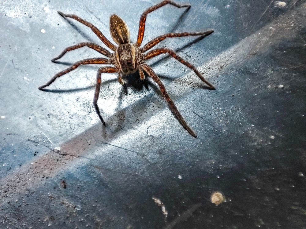 Photograph by Nikita Ostarkov