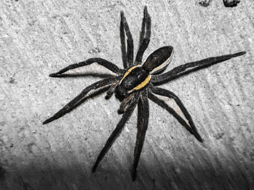 Photograph by Nikita Ostarkov