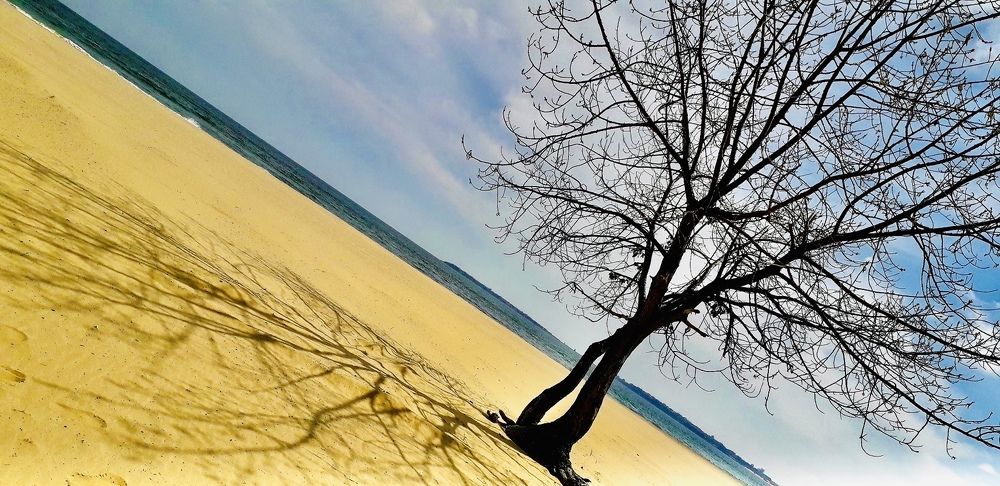 Photograph by Светлана Соколова