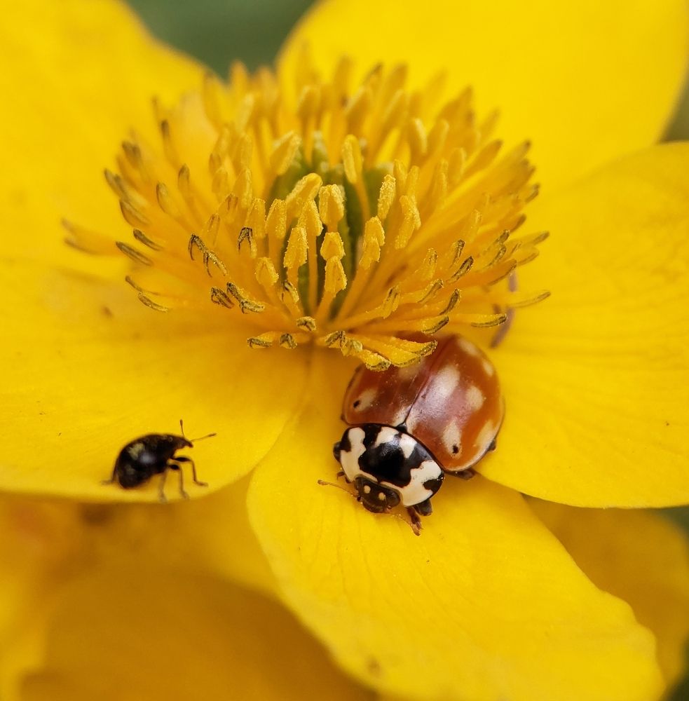 Photograph by Данила Черезов