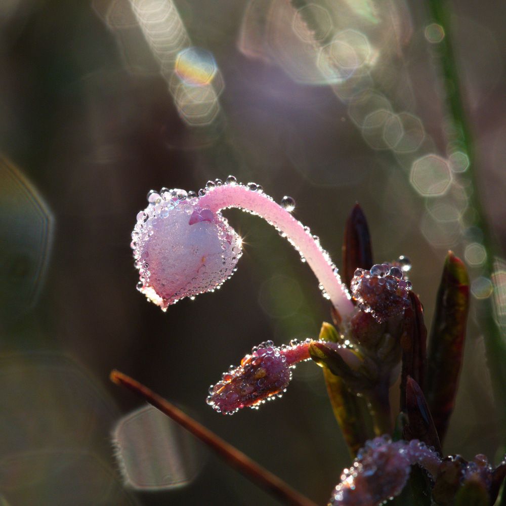 Photograph by Алексей Поляков