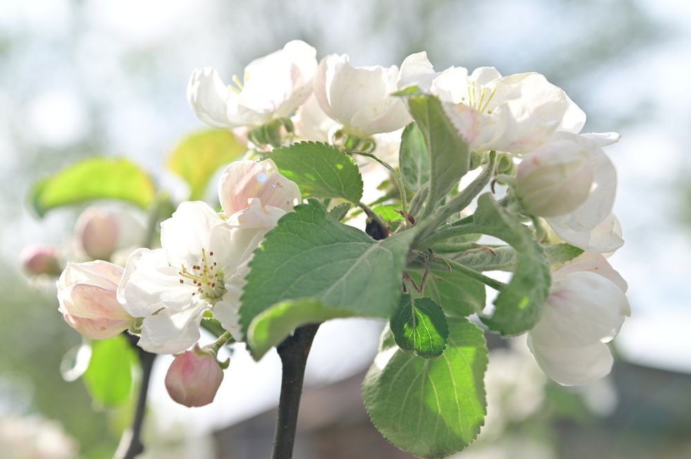 Photograph by Константин