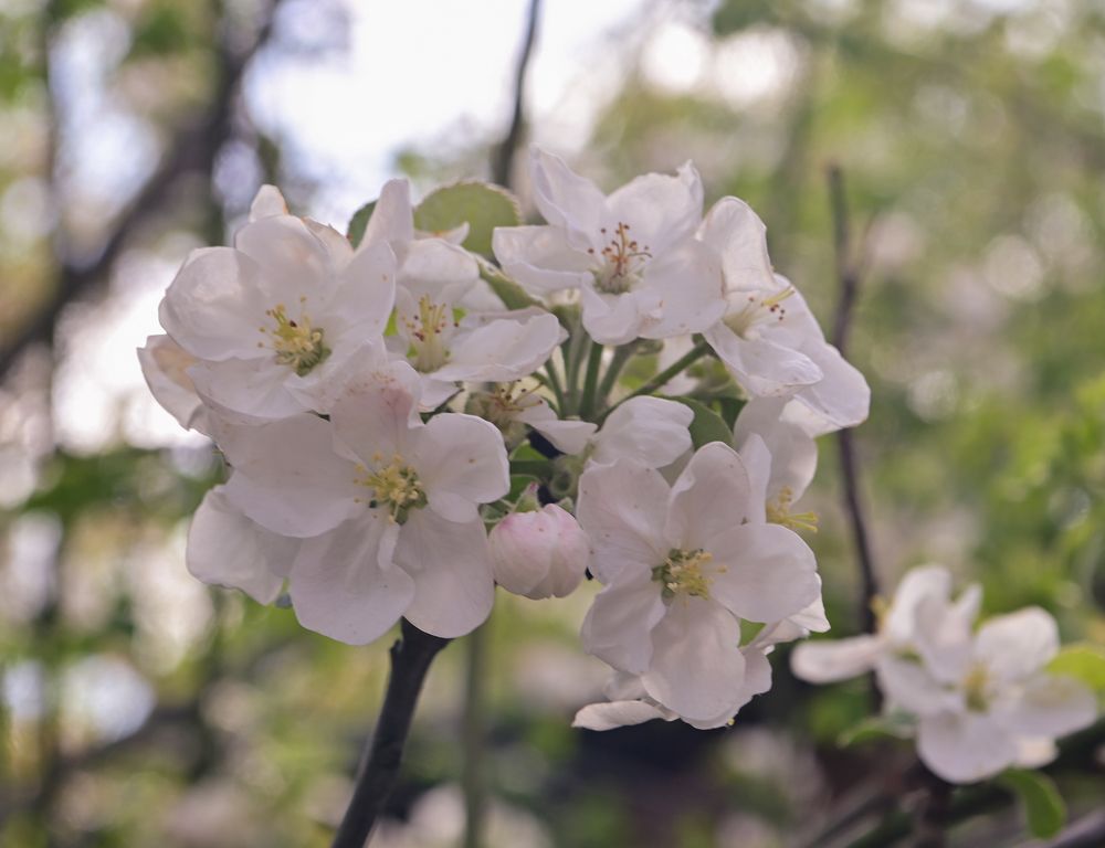 Photograph by Константин