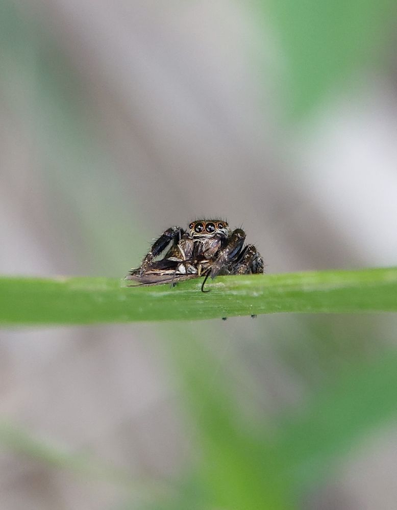 Photograph by Данила Черезов