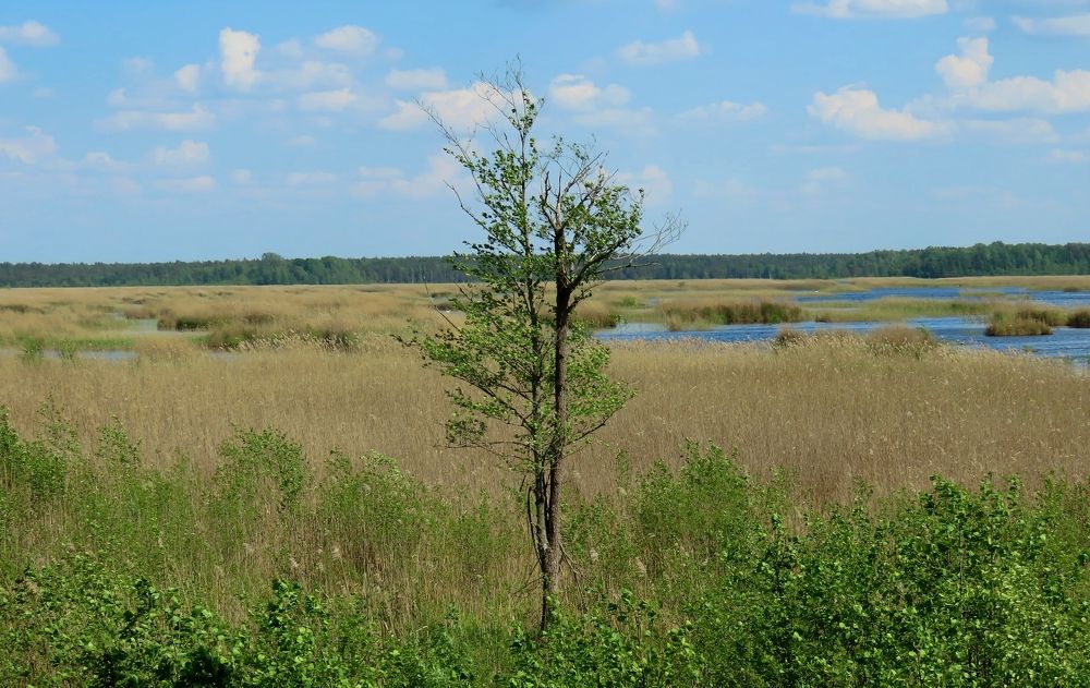 Photograph by Pjotr Alekseev