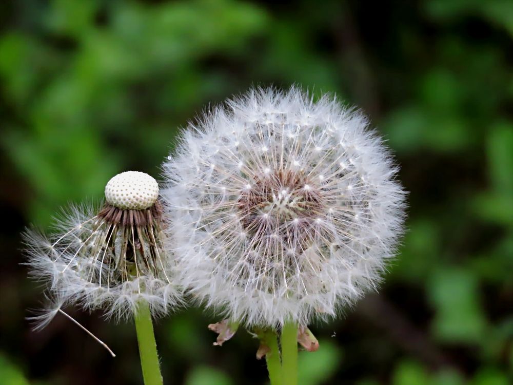 Photograph by Pjotr Alekseev