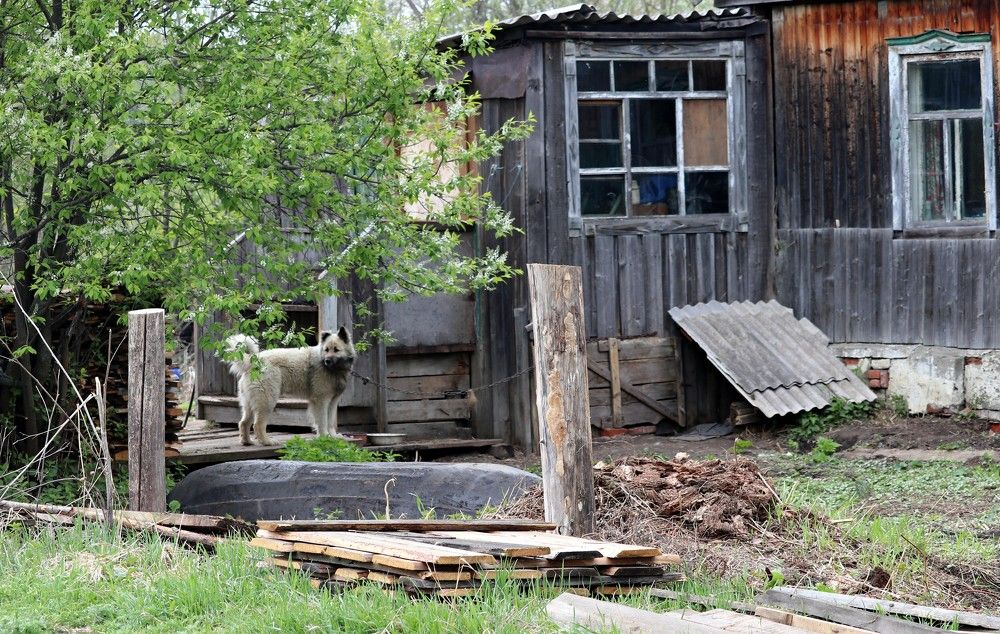 В дозоре.