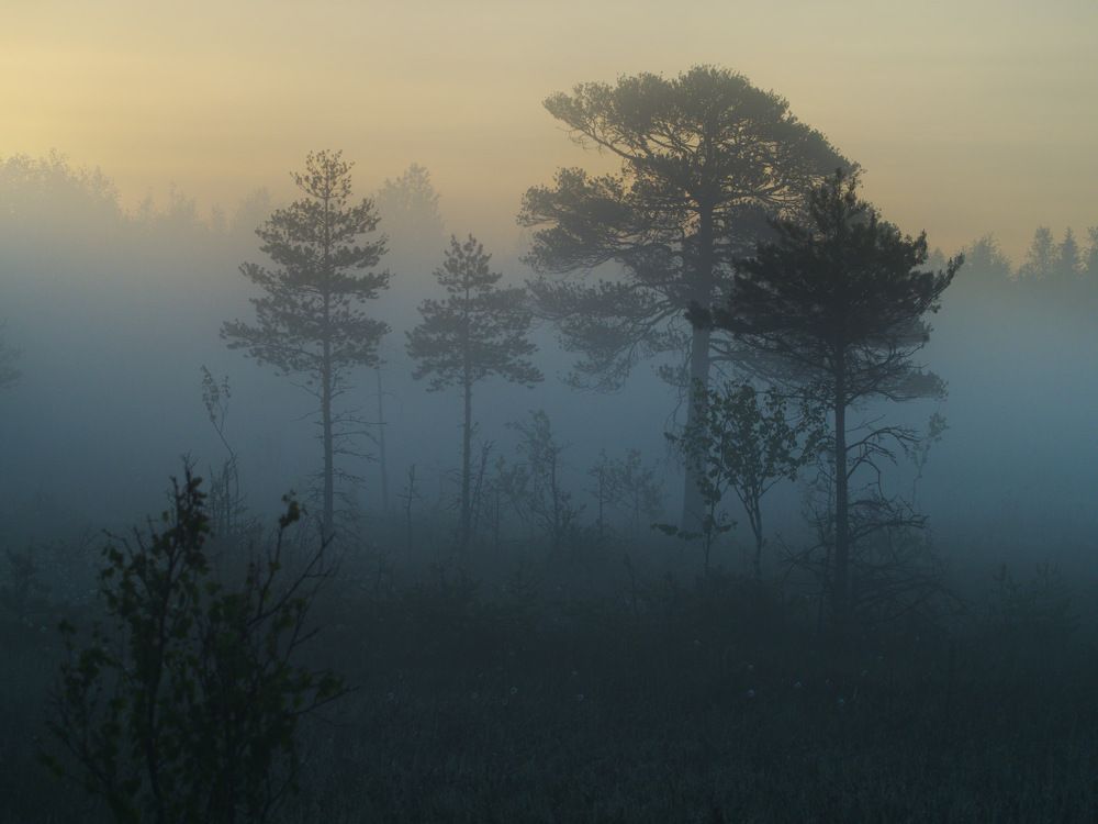Photograph by 