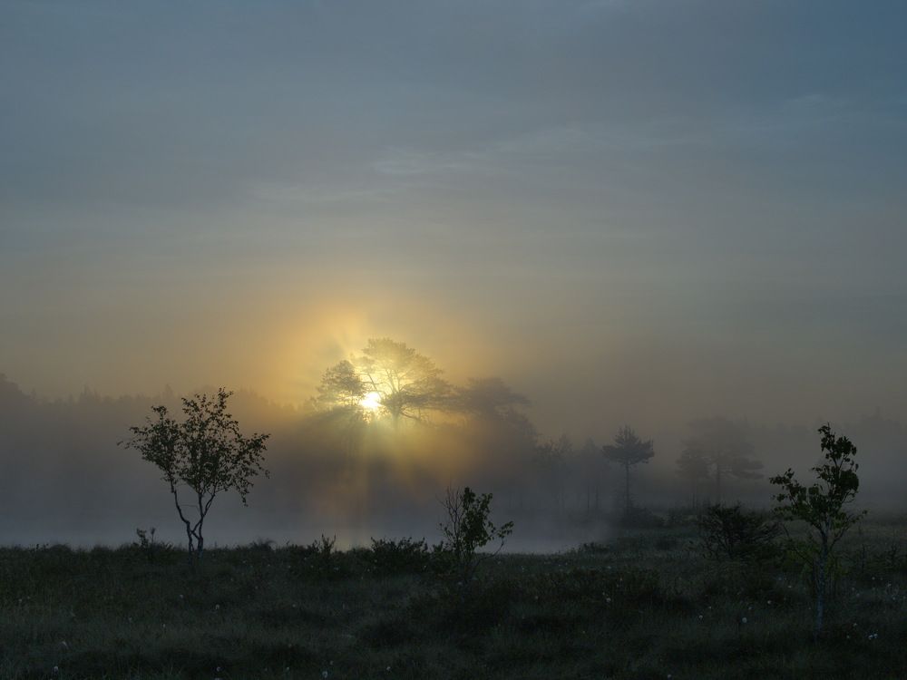 Photograph by 