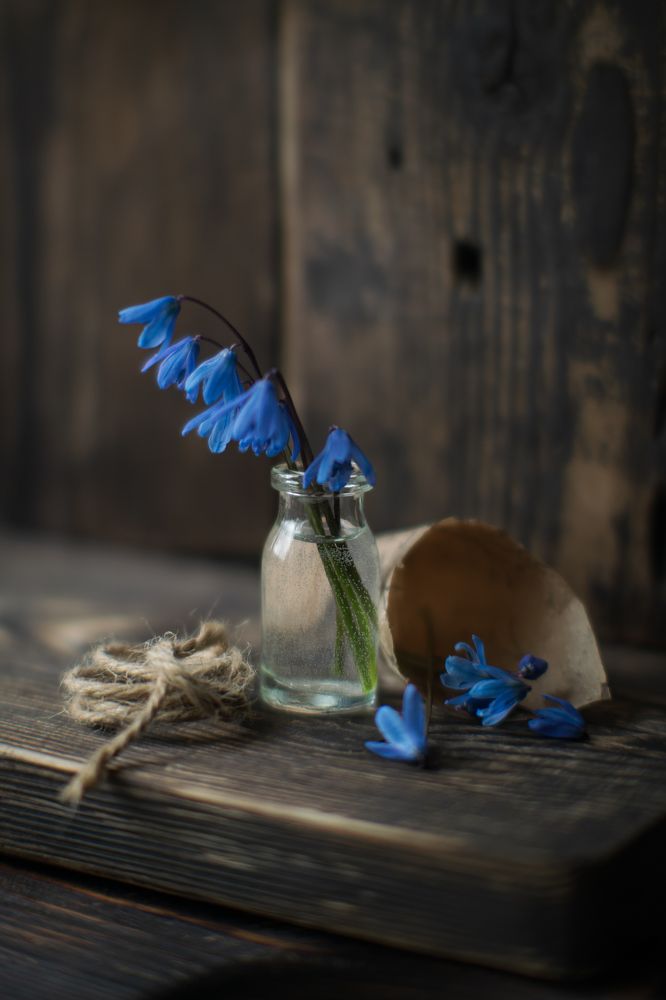 Photograph by Денис Ветренко