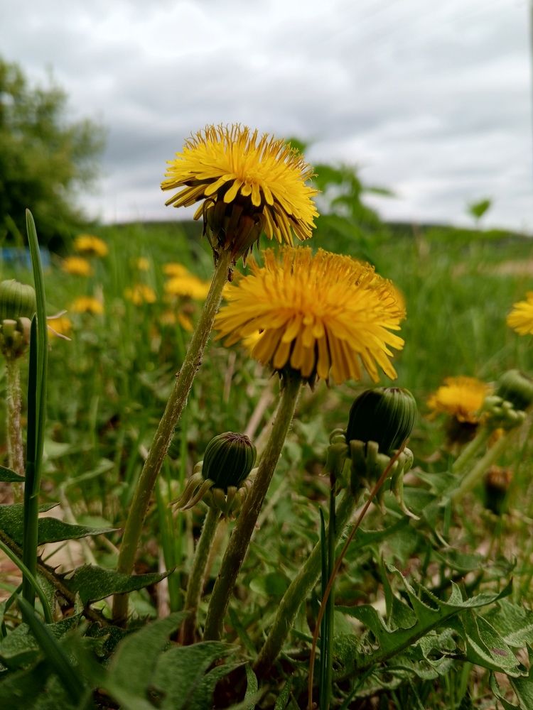 Photograph by Татьяна Николаевна