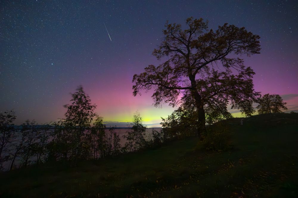 Photograph by Закаляпин Денис