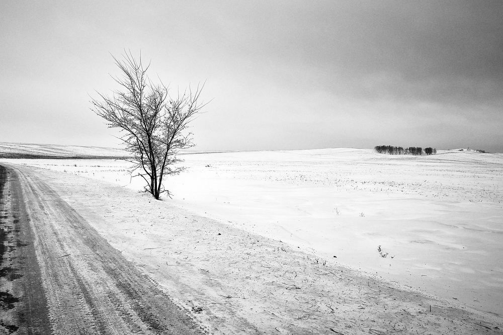 Photograph by Виктор Гершен