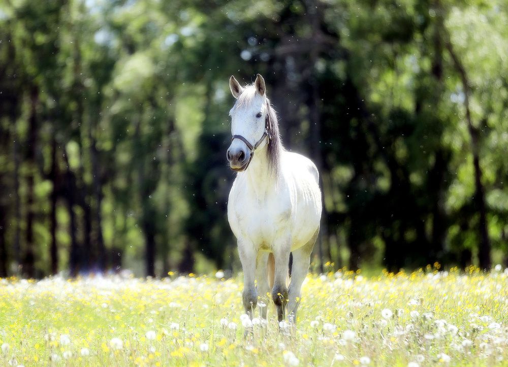 Photograph by Андрей Автухов