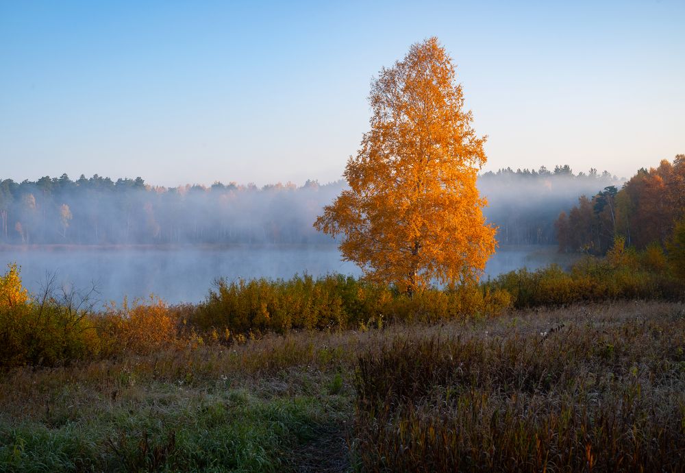 Photograph by Закаляпин Денис