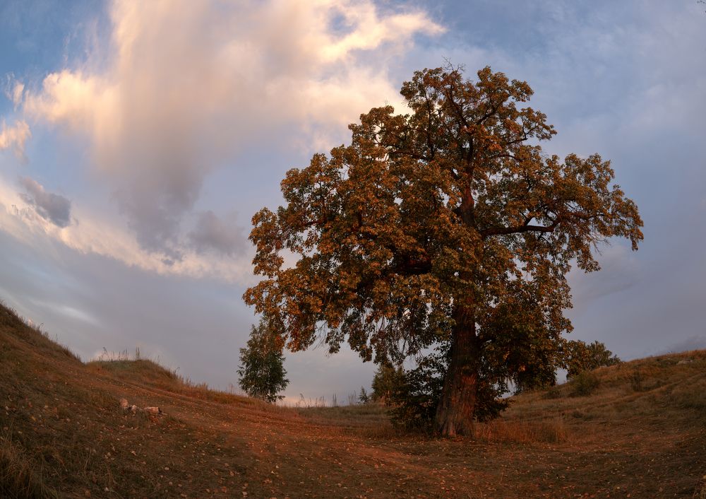 Photograph by Закаляпин Денис