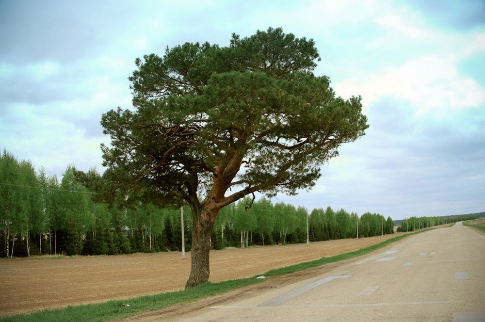 Photograph by Илья Чирков