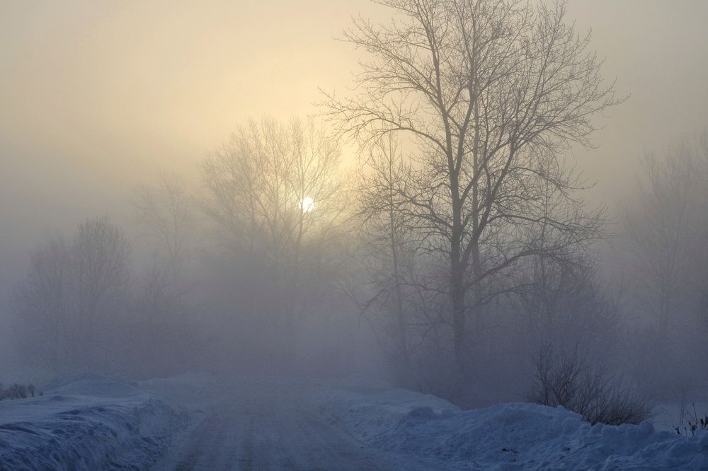 Photograph by Инна Карасева