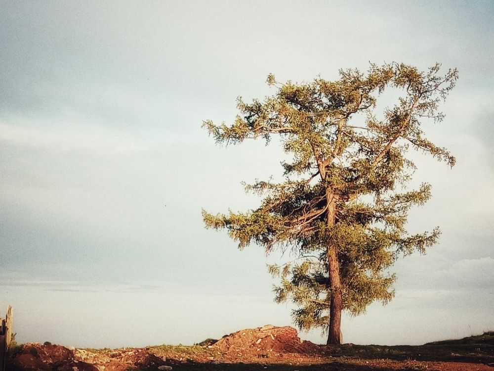 Photograph by Александра Ламанова