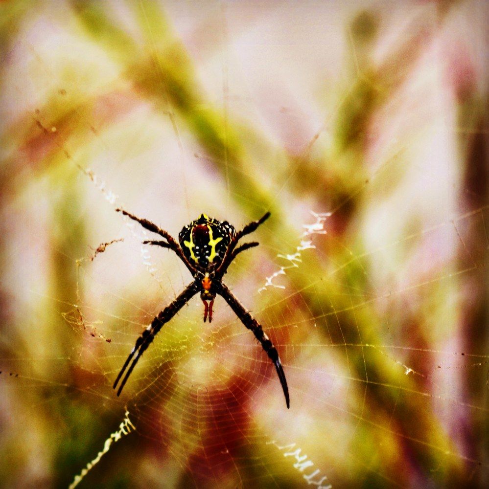 Photograph by akhil varikuti m