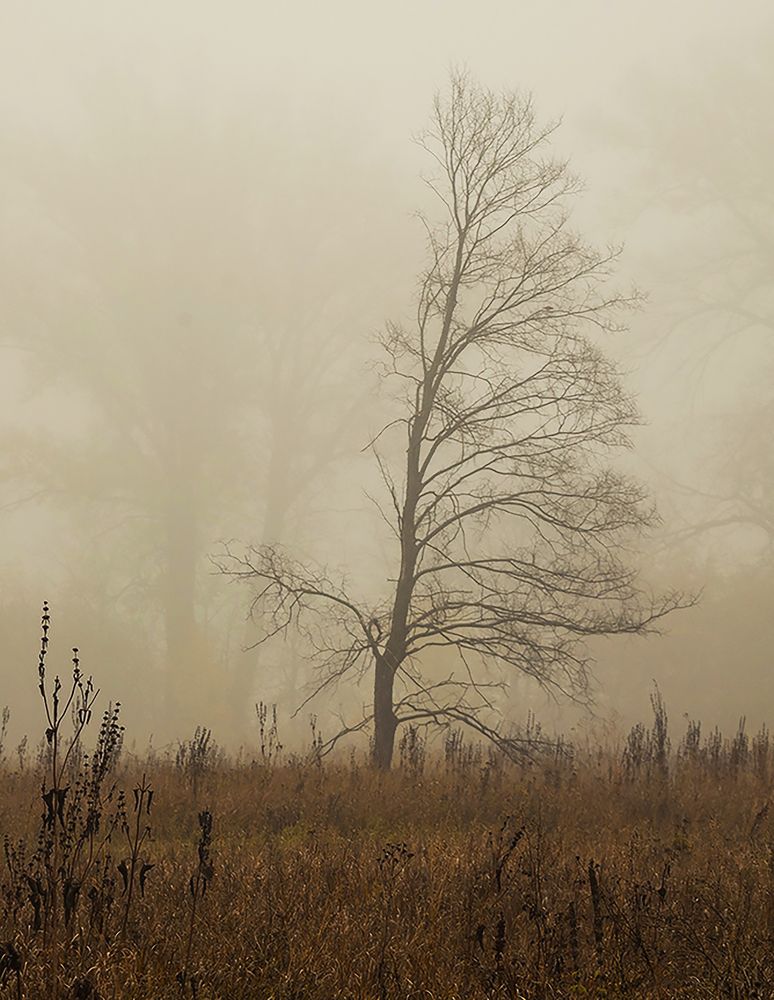 Photograph by Алексей Патлах