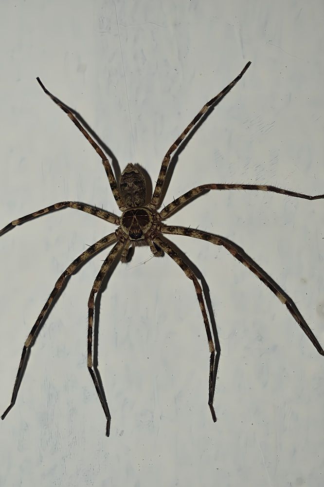 Photograph by akhil varikuti m