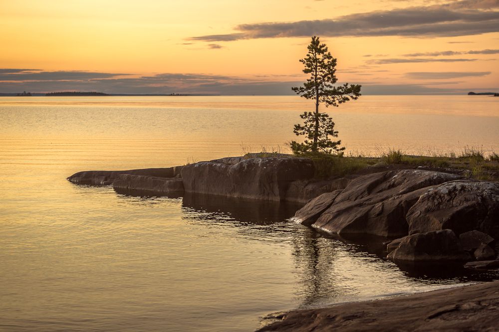 Photograph by Алексей Калугин