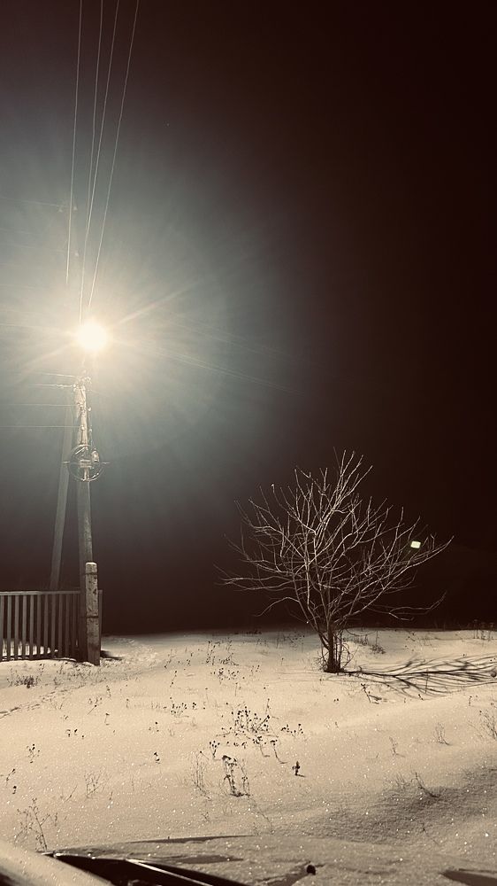 Photograph by Елена Гущина