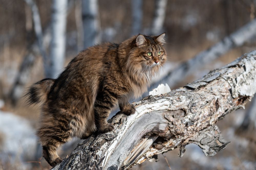 Photograph by Алексей Александрович