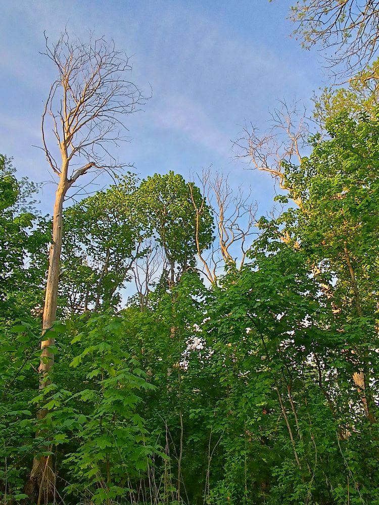 Осколки истории