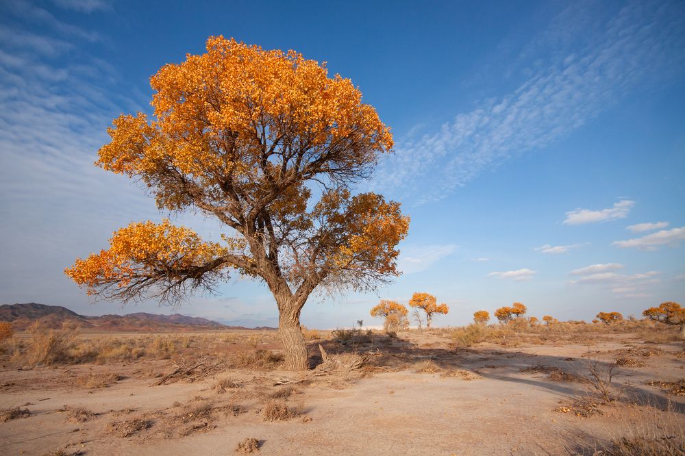 Photograph by Andrey Shishkalov
