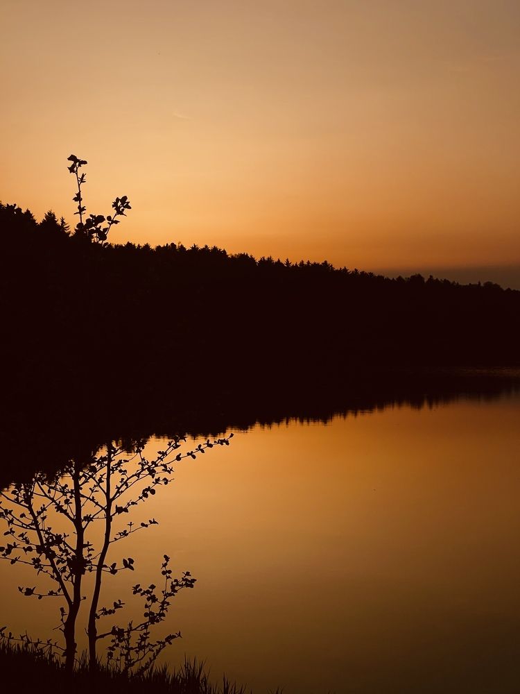 Фотография автора Elena Menshikova