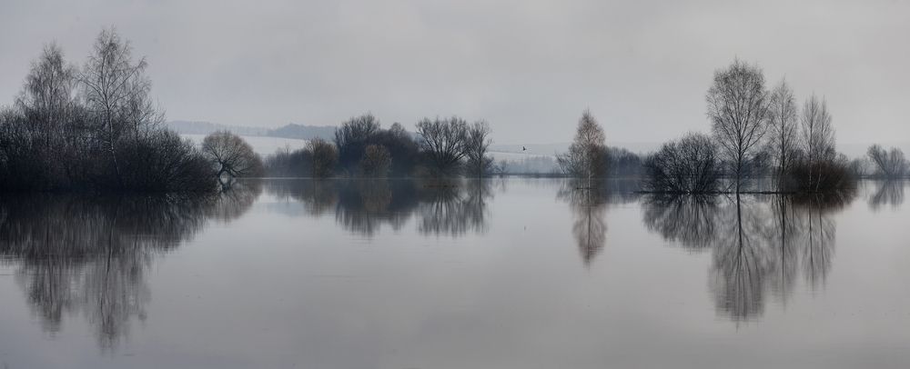 Photograph by Баранов Олег