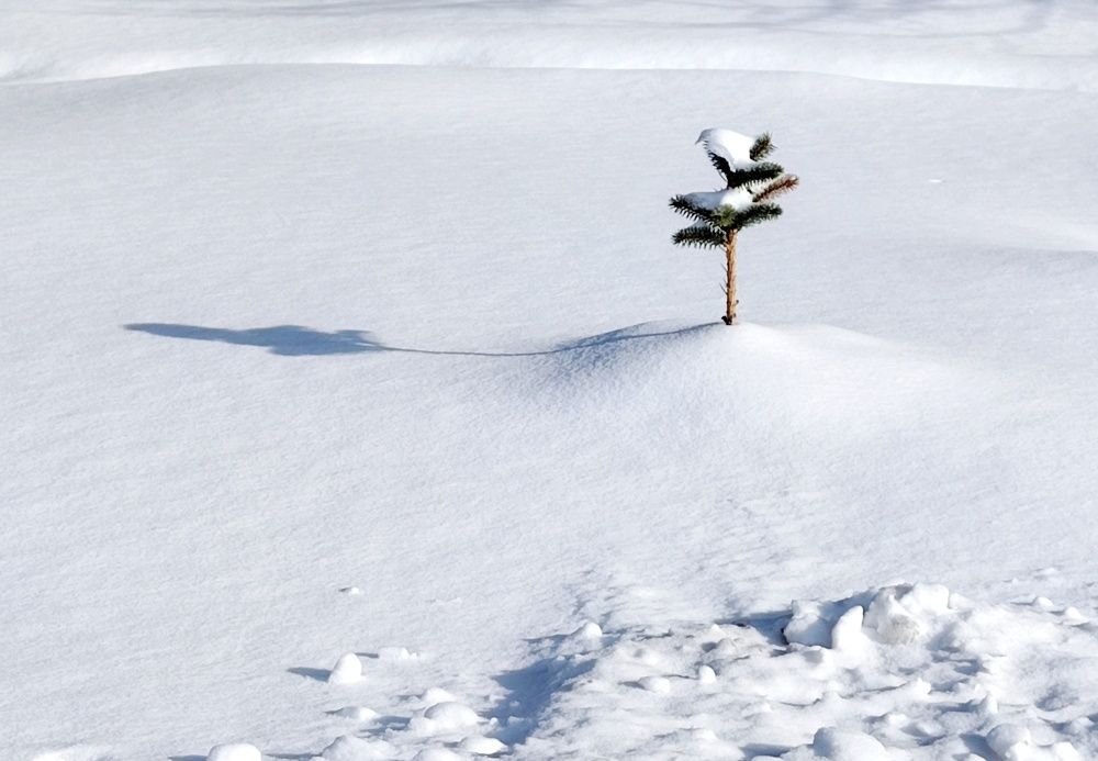 Photograph by Татьяна