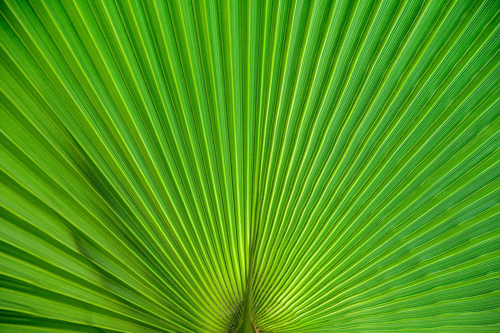 Photograph by Александр