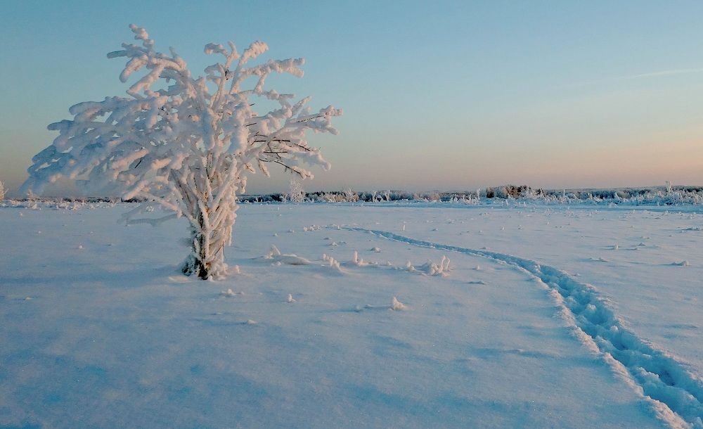 Photograph by Виктор Решетников