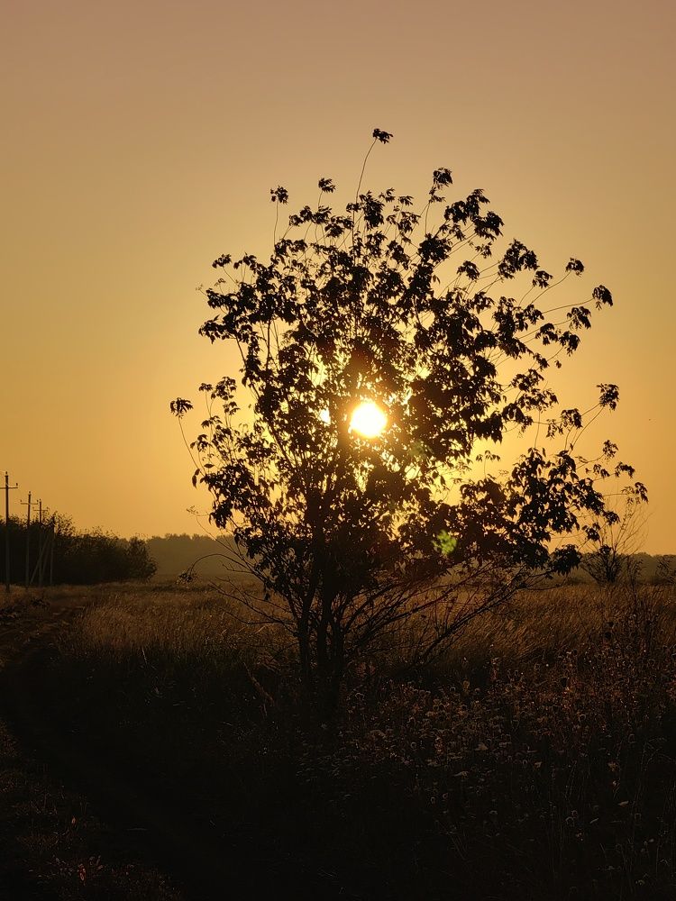 Photograph by Maiya Bulatova