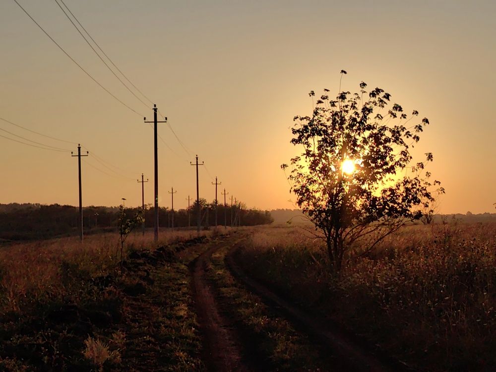 Photograph by Maiya Bulatova