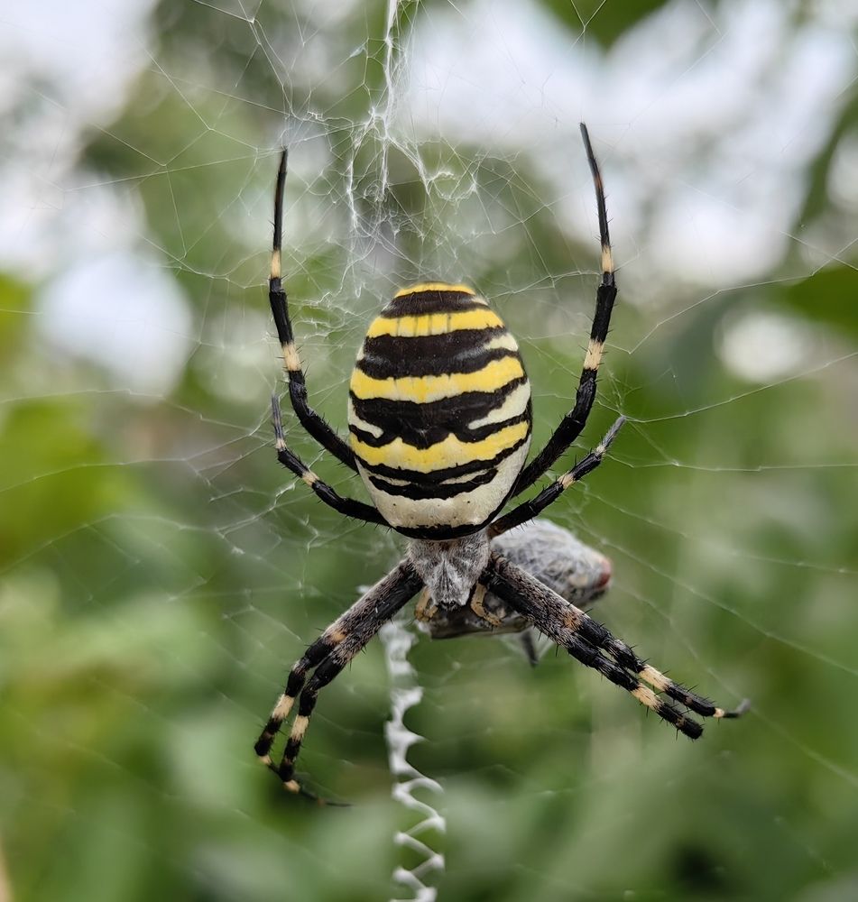 Photograph by Maiya Bulatova