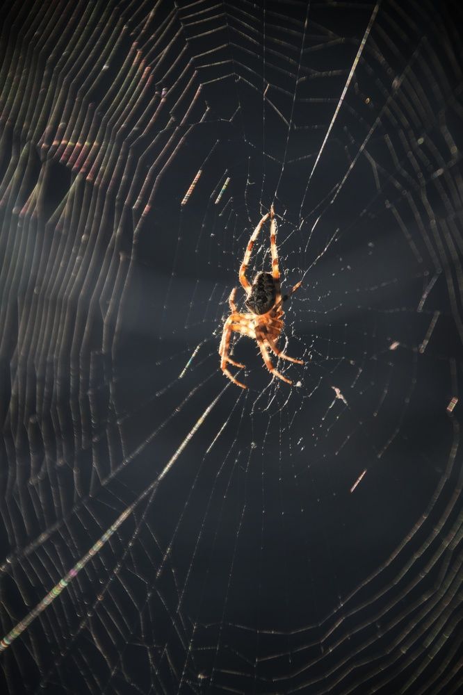 Photograph by Maiya Bulatova