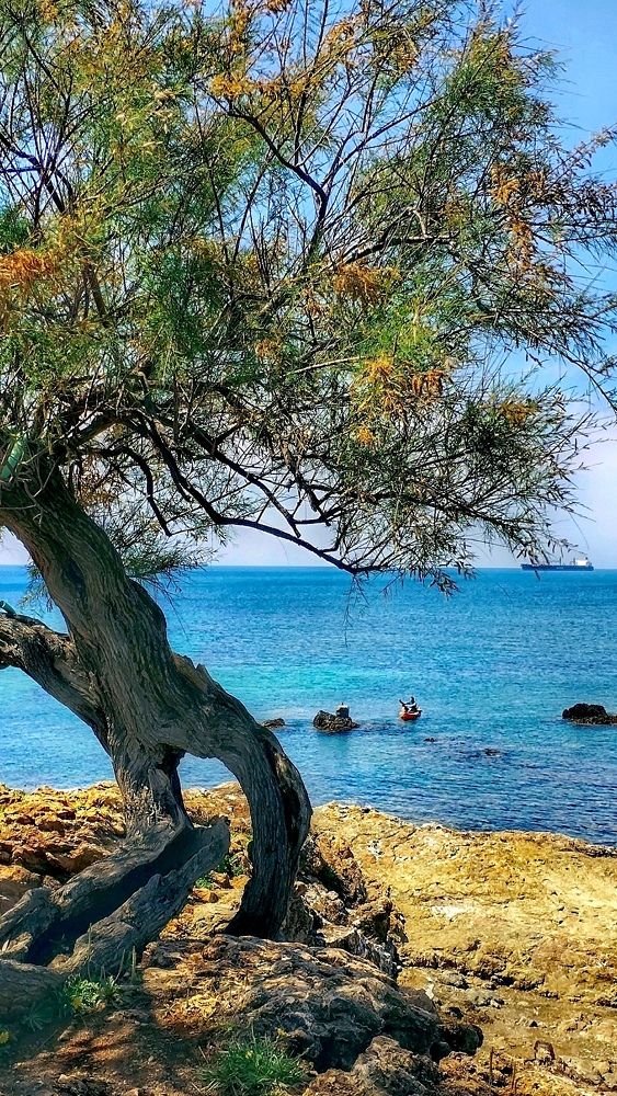 Photograph by Елена Егорова